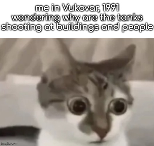 because there was a war 32 years ago. | me in Vukovar, 1991 wondering why are the tanks shooting at buildings and people | made w/ Imgflip meme maker