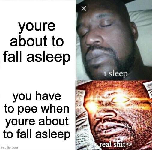 absolutely awful :( | youre about to fall asleep; you have to pee when youre about to fall asleep | image tagged in memes,sleeping shaq,pee | made w/ Imgflip meme maker