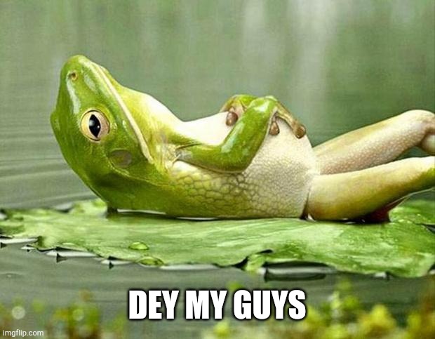 Lazy frog | DEY MY GUYS | image tagged in lazy frog | made w/ Imgflip meme maker