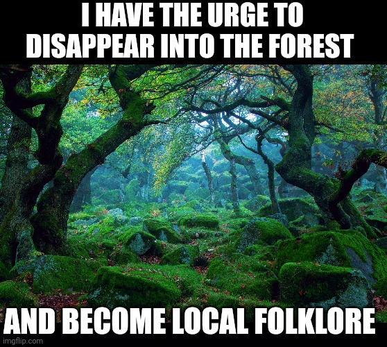 PART OF THE FOREST | I HAVE THE URGE TO DISAPPEAR INTO THE FOREST; AND BECOME LOCAL FOLKLORE | image tagged in black background,forest,woods,trees | made w/ Imgflip meme maker