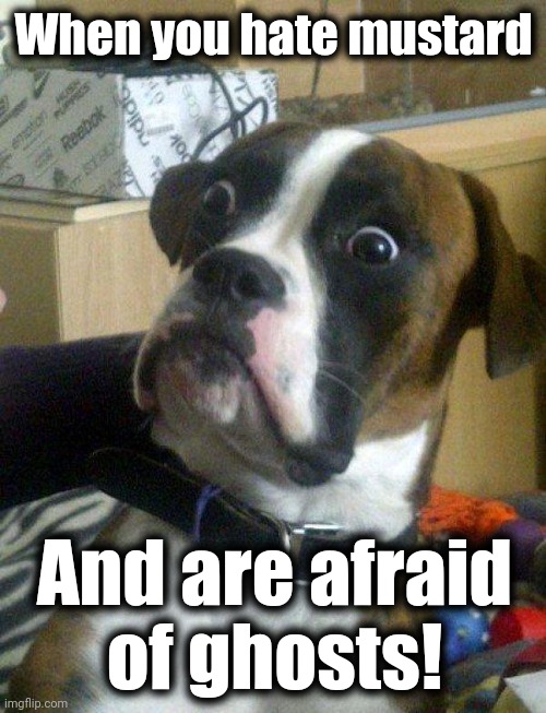 Blankie the Shocked Dog | When you hate mustard And are afraid
of ghosts! | image tagged in blankie the shocked dog | made w/ Imgflip meme maker