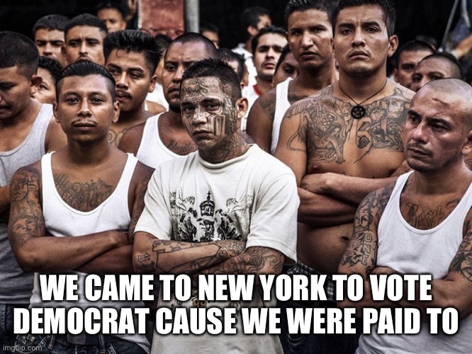 Ms-13 in NYC | WE CAME TO NEW YORK TO VOTE DEMOCRAT CAUSE WE WERE PAID TO | image tagged in ms13 votes democrat,memes,funny | made w/ Imgflip meme maker
