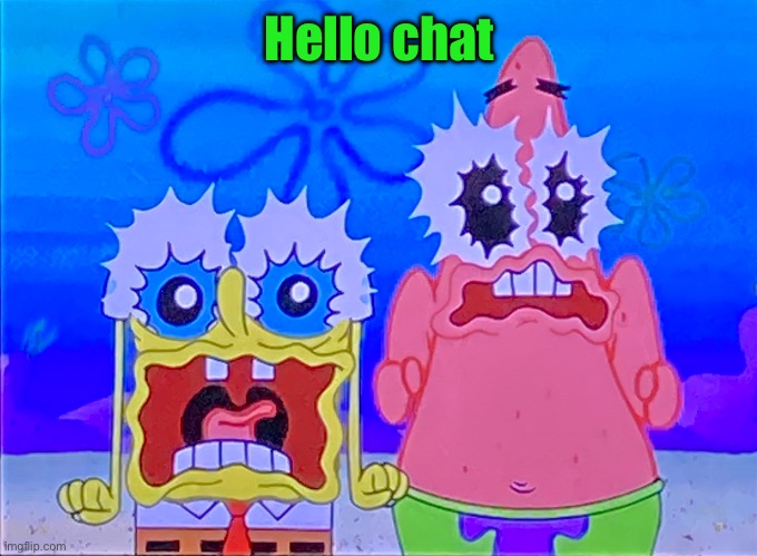 Scare spongboob and patrichard | Hello chat | image tagged in scare spongboob and patrichard | made w/ Imgflip meme maker