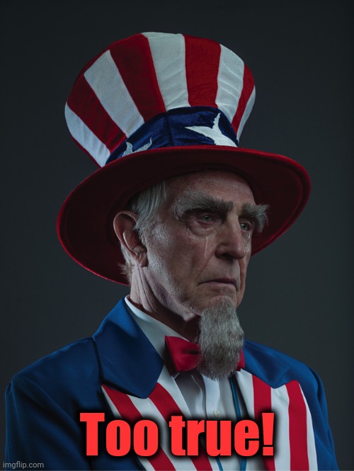 Uncle Sam Crying | Too true! | image tagged in uncle sam crying | made w/ Imgflip meme maker