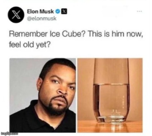 This is ice cube now | image tagged in funny | made w/ Imgflip meme maker