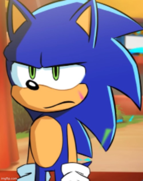 Caption this | image tagged in sonic bruh seriously | made w/ Imgflip meme maker