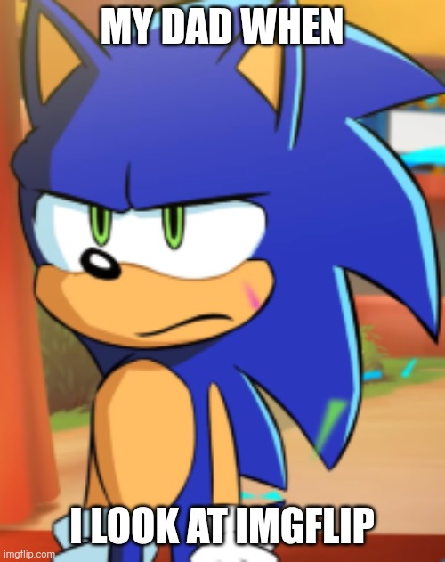 Sonic bruh seriously | MY DAD WHEN I LOOK AT IMGFLIP | image tagged in sonic bruh seriously | made w/ Imgflip meme maker