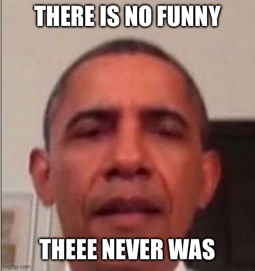 There is no meme template | THERE IS NO FUNNY THERE NEVER WAS | image tagged in there is no meme template | made w/ Imgflip meme maker