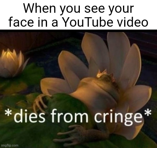 Dying of cringe | When you see your face in a YouTube video | image tagged in dies of cringe | made w/ Imgflip meme maker