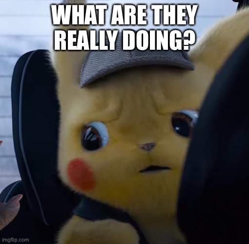 Unsettled detective pikachu | WHAT ARE THEY REALLY DOING? | image tagged in unsettled detective pikachu | made w/ Imgflip meme maker