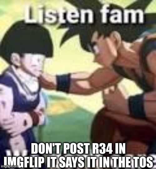 Listen fam we dont care | DON'T POST R34 IN IMGFLIP IT SAYS IT IN THE TOS | image tagged in listen fam we dont care | made w/ Imgflip meme maker