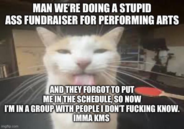 Cat | MAN WE’RE DOING A STUPID ASS FUNDRAISER FOR PERFORMING ARTS; AND THEY FORGOT TO PUT ME IN THE SCHEDULE, SO NOW I’M IN A GROUP WITH PEOPLE I DON’T FUCKING KNOW.
IMMA KMS | image tagged in cat | made w/ Imgflip meme maker