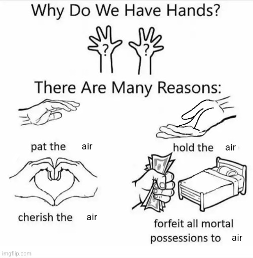 Why do we have hands? (all blank) | air; air; air; air | image tagged in why do we have hands all blank | made w/ Imgflip meme maker