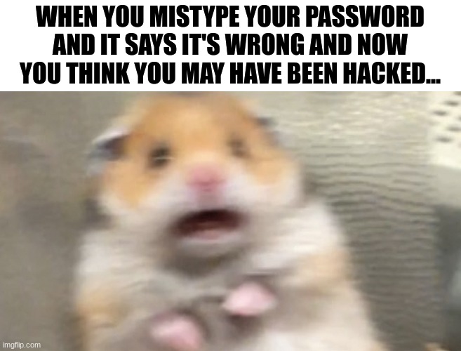 Scared Hamster | WHEN YOU MISTYPE YOUR PASSWORD AND IT SAYS IT'S WRONG AND NOW YOU THINK YOU MAY HAVE BEEN HACKED... | image tagged in scared hamster,scared hamster reaction meme,scared hamster reaction memes,fear of being hacked memes,password typos meme | made w/ Imgflip meme maker