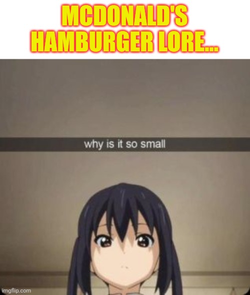 MCDONALD'S HAMBURGER LORE... | image tagged in why is it so small | made w/ Imgflip meme maker