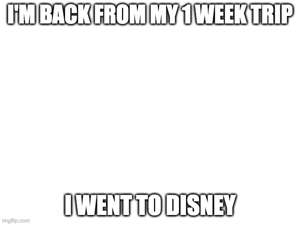 I'M BACK FROM MY 1 WEEK TRIP; I WENT TO DISNEY | image tagged in disney | made w/ Imgflip meme maker