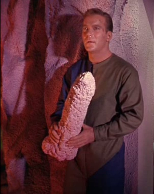 Kirk Penis Blank Meme Template