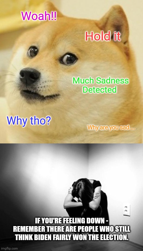 Woah!! Hold it; Much Sadness Detected; Why tho? Why are you sad.... IF YOU'RE FEELING DOWN - REMEMBER THERE ARE PEOPLE WHO STILL THINK BIDEN FAIRLY WON THE ELECTION. | image tagged in memes,doge,depression sadness hurt pain anxiety | made w/ Imgflip meme maker