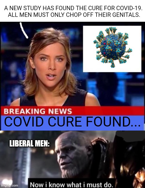 A NEW STUDY HAS FOUND THE CURE FOR COVID-19.  ALL MEN MUST ONLY CHOP OFF THEIR GENITALS. COVID CURE FOUND... LIBERAL MEN: | image tagged in breaking news,thanos now i know what i must do | made w/ Imgflip meme maker