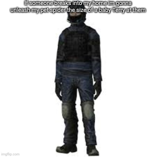 the he | If someone breaks into my home im gonna unleash my pet spider the size of a baby Terry at them | image tagged in the he | made w/ Imgflip meme maker