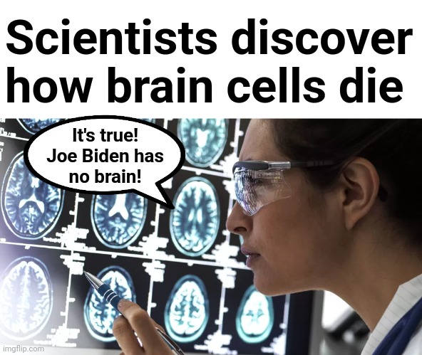 A breakthrough study | Scientists discover how brain cells die; It's true!
Joe Biden has
no brain! | image tagged in memes,joe biden,senile creep,democrats,dementia,brain | made w/ Imgflip meme maker