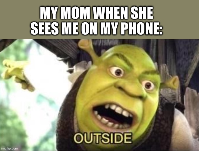 Shrek Outside | MY MOM WHEN SHE SEES ME ON MY PHONE: | image tagged in outside | made w/ Imgflip meme maker