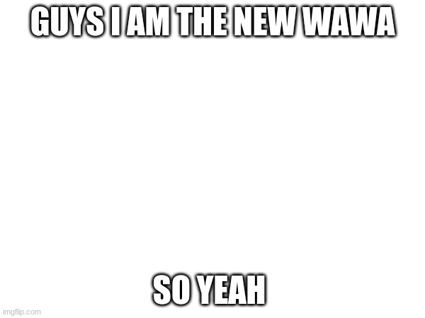 GUYS I AM THE NEW WAWA; SO YEAH | made w/ Imgflip meme maker