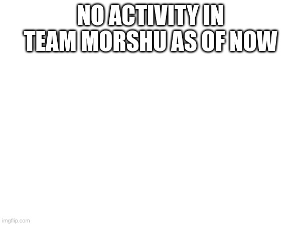 NO ACTIVITY IN TEAM MORSHU AS OF NOW | made w/ Imgflip meme maker