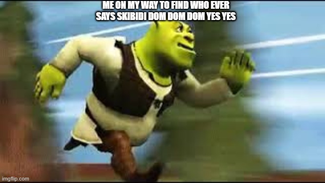 ME ON MY WAY TO FIND WHO EVER SAYS SKIBIDI DOM DOM DOM YES YES | image tagged in shrek running | made w/ Imgflip meme maker
