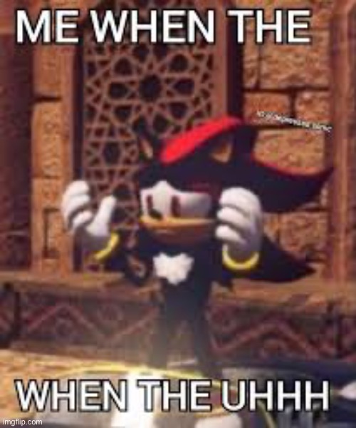 image tagged in shadow the hedgehog | made w/ Imgflip meme maker