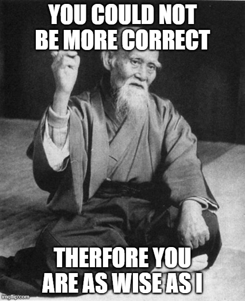 Wise Master | YOU COULD NOT BE MORE CORRECT; THERFORE YOU ARE AS WISE AS I | image tagged in wise master | made w/ Imgflip meme maker