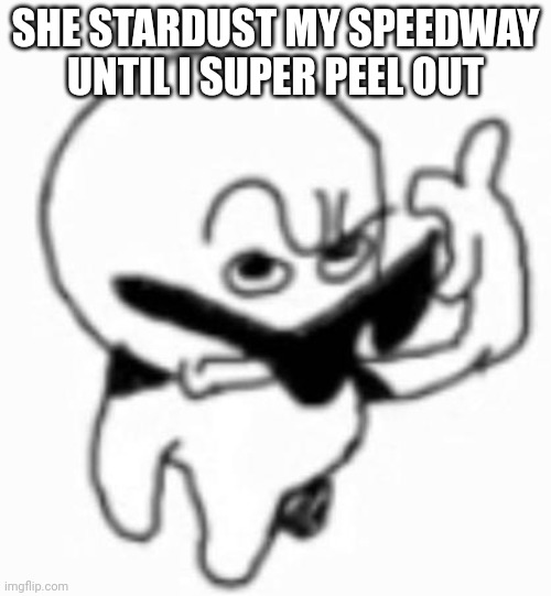 If you play sonic cd then you don't need an explanation | SHE STARDUST MY SPEEDWAY UNTIL I SUPER PEEL OUT | image tagged in i beg thine pardon | made w/ Imgflip meme maker