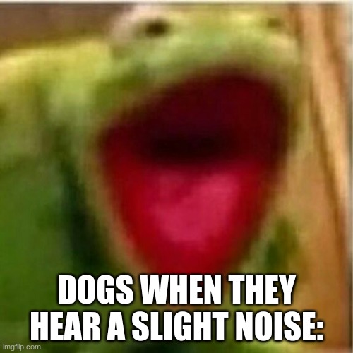 AHHHHHHHHHHHHH | DOGS WHEN THEY HEAR A SLIGHT NOISE: | image tagged in ahhhhhhhhhhhhh | made w/ Imgflip meme maker