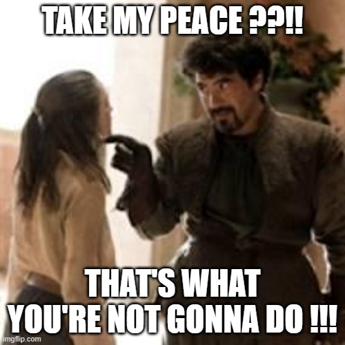 Not Today  | TAKE MY PEACE ??!! THAT'S WHAT YOU'RE NOT GONNA DO !!! | image tagged in not today | made w/ Imgflip meme maker