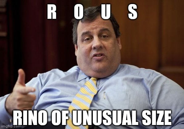 Chris Christie | R     O     U     S; RINO OF UNUSUAL SIZE | image tagged in chris christie | made w/ Imgflip meme maker