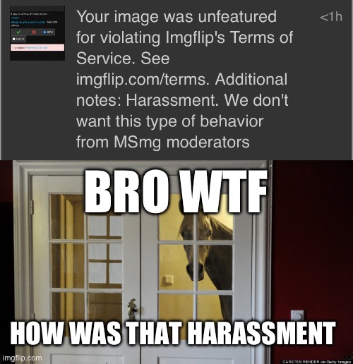 BRO WTF; HOW WAS THAT HARASSMENT | image tagged in ominous horse | made w/ Imgflip meme maker