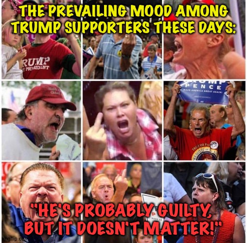 The rule of law means nothing to those idiots. | THE PREVAILING MOOD AMONG TRUMP SUPPORTERS THESE DAYS:; "HE'S PROBABLY GUILTY, 
BUT IT DOESN'T MATTER!" | image tagged in triggered trump supporters | made w/ Imgflip meme maker
