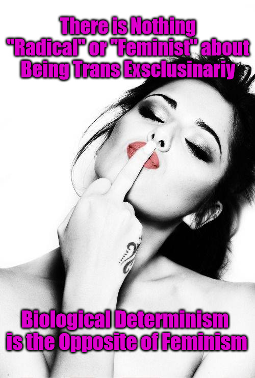 TERFs can get bent | There is Nothing "Radical" or "Feminist" about Being Trans Exsclusinariy; Biological Determinism
 is the Opposite of Feminism | image tagged in sexy girl middle finger,trans,lgbtq,feminism,feminist,biological determinism | made w/ Imgflip meme maker