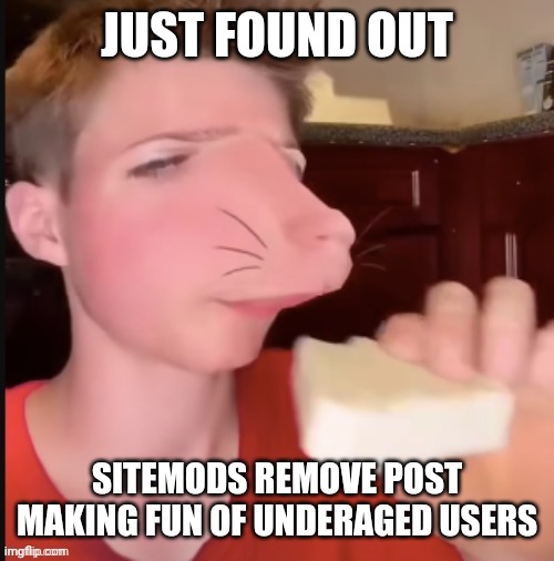Thats why you should join my anti-sitemod stream | JUST FOUND OUT; SITEMODS REMOVE POST MAKING FUN OF UNDERAGED USERS | image tagged in speed mcqueen | made w/ Imgflip meme maker