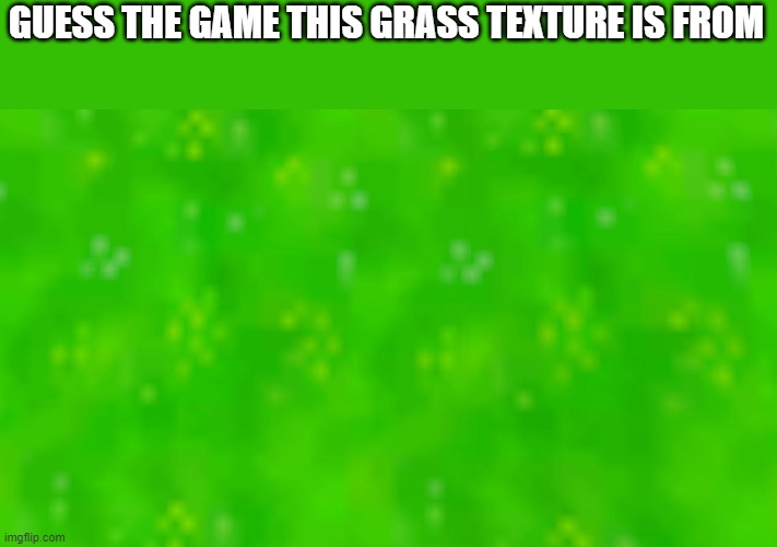hint: 1990s | GUESS THE GAME THIS GRASS TEXTURE IS FROM | made w/ Imgflip meme maker