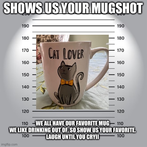 Mug shots of coffee mugs | SHOWS US YOUR MUGSHOT; WE ALL HAVE OUR FAVORITE MUG WE LIKE DRINKING OUT OF. SO SHOW US YOUR FAVORITE.
LAUGH UNTIL YOU CRYII | image tagged in mugshot | made w/ Imgflip meme maker