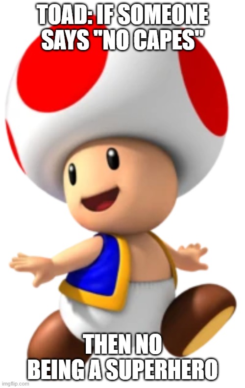 Toad's No being a superhero meme | TOAD: IF SOMEONE SAYS "NO CAPES"; THEN NO BEING A SUPERHERO | image tagged in toad mario toadstool | made w/ Imgflip meme maker