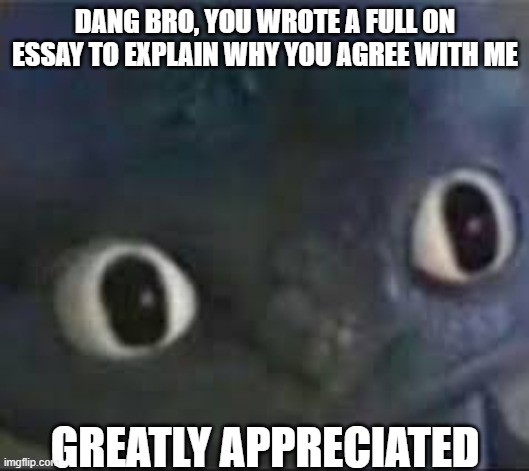 Toothless ._. face | DANG BRO, YOU WROTE A FULL ON ESSAY TO EXPLAIN WHY YOU AGREE WITH ME GREATLY APPRECIATED | image tagged in toothless _ face | made w/ Imgflip meme maker