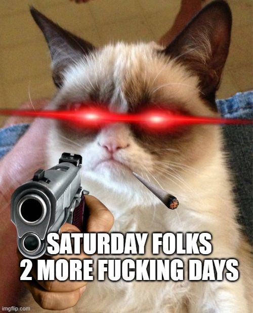 Grumpy Cat Meme | SATURDAY FOLKS 2 MORE FUCKING DAYS | image tagged in memes,grumpy cat | made w/ Imgflip meme maker