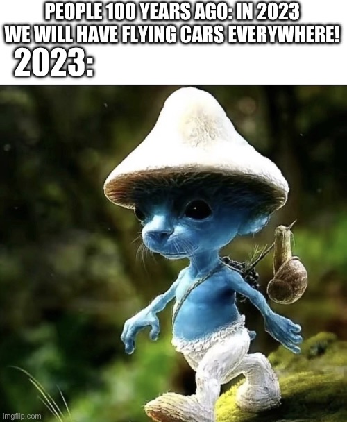 Hmphhhmh | PEOPLE 100 YEARS AGO: IN 2023 WE WILL HAVE FLYING CARS EVERYWHERE! 2023: | image tagged in blue smurf cat | made w/ Imgflip meme maker