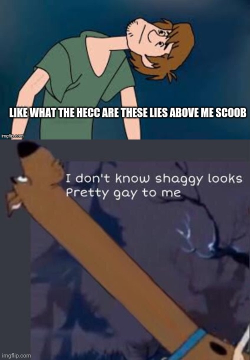 image tagged in like what are these lies above me scoob,i dont know shaggy looks pretty gay to me | made w/ Imgflip meme maker