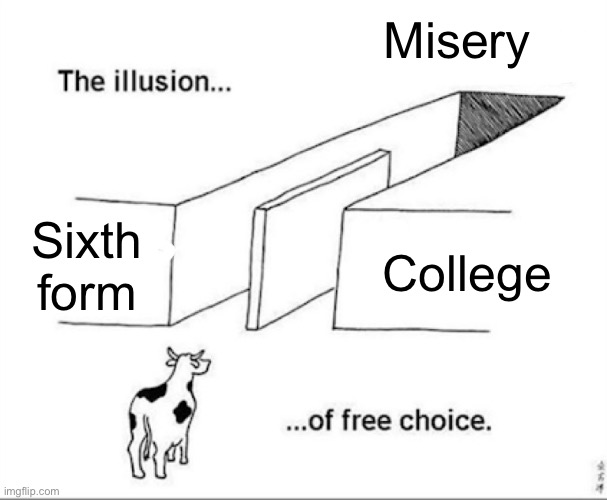 Well I chose the left | Misery; Sixth form; College | image tagged in illusion of free choice | made w/ Imgflip meme maker