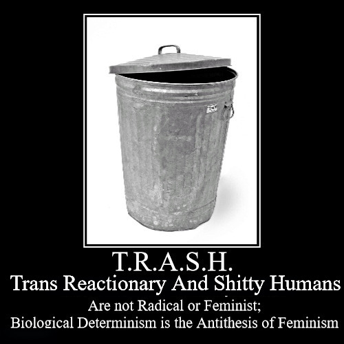 Don't be TRASH | Trans Reactionary And Shitty Humans | image tagged in trash,trans,transgender,feminist,feminism,terf | made w/ Imgflip meme maker