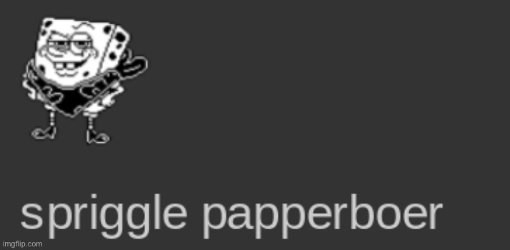 spriggle papperboer | image tagged in spriggle papperboer | made w/ Imgflip meme maker