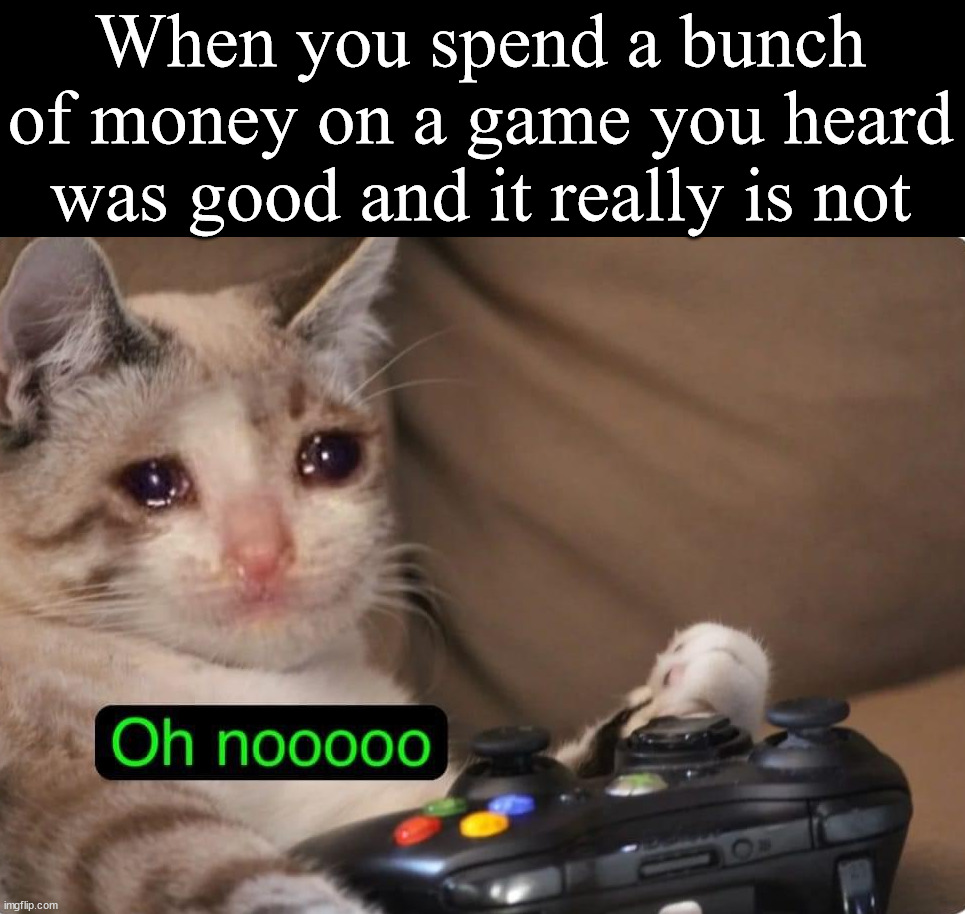 When you spend a bunch of money on a game you heard was good and it really is not | image tagged in gaming | made w/ Imgflip meme maker
